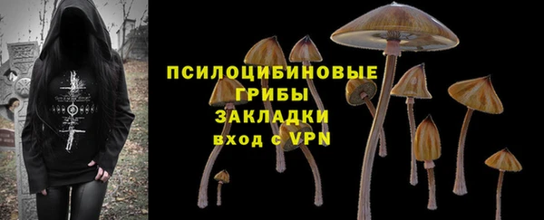 молекула духа Гусь-Хрустальный